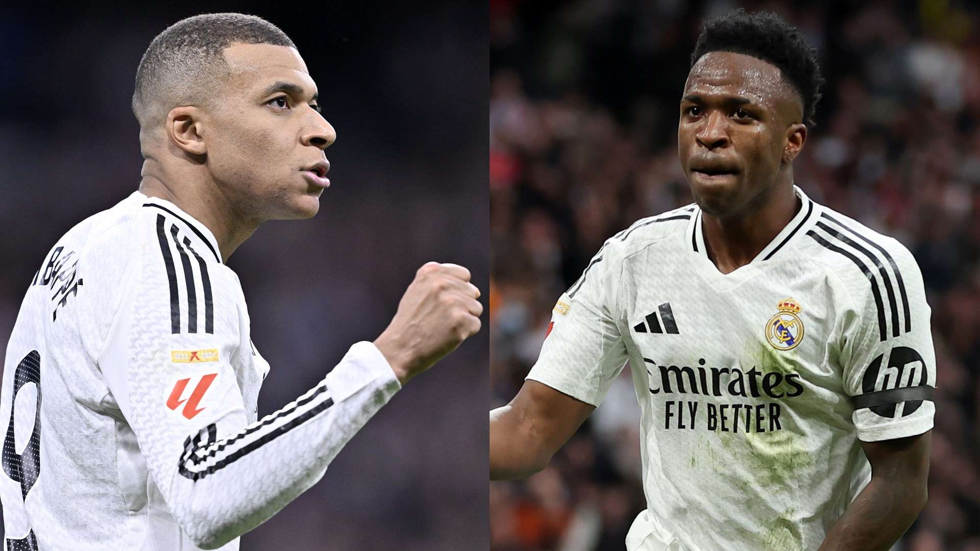 了这种活动 了这种活动